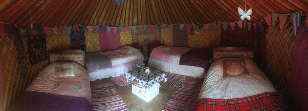 ホテルGalway Glamping チュアム エクステリア 写真